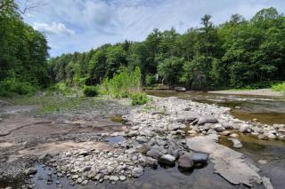 Catskills retreat - ATV, Hot tub, hiking, fishing - Cairo - 4
