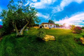 Panoramic trulli with swimming pool in Monopoli - Monopoli - 0
