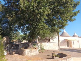 Panoramic trulli with swimming pool in Monopoli - Monopoli - 8