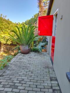 In the bush - Boknes - 9