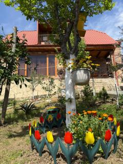 Sunshine House - Kutaisi - 4