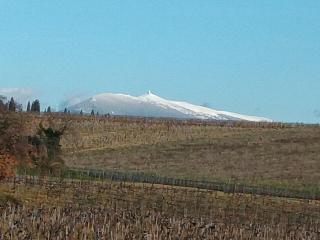 Maison en campagne - Le Thor - 0