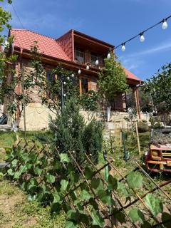 Sunshine House - Kutaisi - 5