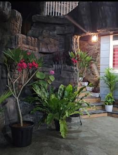 S & B Dreams House - Munnar - 8