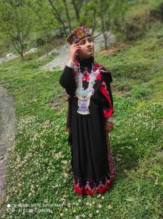 Midway Home stay - Jibhi - 9