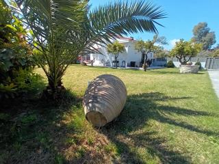 Eden's Garden next to the sea! - Kalamata - 8