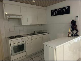 2 Zimmer Appartement am See - Gambarogno - 4