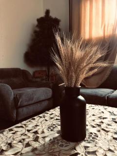 long term ideal Spacious 3BR Flat in Citycentre! - Alessandria d'Egitto - 0