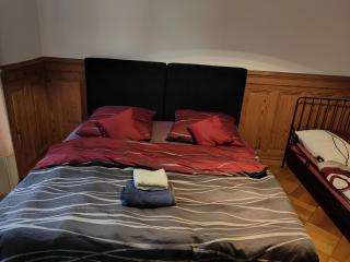 Zentrales Zimmer im 1OGC 2 Gehminuten zum Bahnhof Solothurn - Solothurn - 4