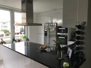 Modern and stylish Home in Muttenz - Muttenz - 3