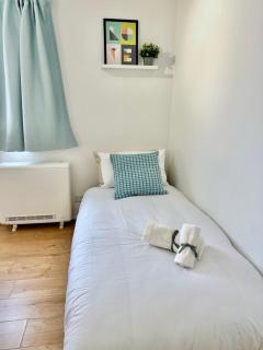 Tranquil 2 bed Apt Near Downtown & Free Parking - Londra - 6
