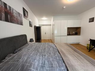 Deluxe 1 Room Apartment M-Daisy - Cologne - 0