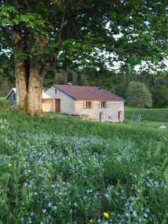 Gîte rural La Grange en pleine nature à La Pesse - La Pesse - 8