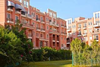 زايد ديونز الشيخ زايد - 4