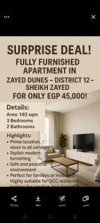 زايد ديونز الشيخ زايد - 1