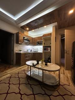 Resort Style living 1BHK The Springs Apartments - Lahore - 7