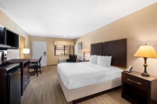 Best Western Cedar Inn - Cedar Park - 4