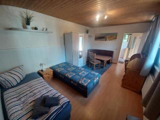 Pension Alte Schmiede - 6