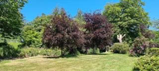 Room In The Country - Between Liskead & Looe - 1