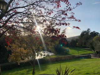 The Ford - Kenmare - 0
