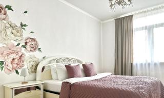 CHAPAEVA Apartaments - Moara Domnească - 0
