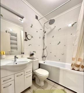 CHAPAEVA Apartaments - Moara Domnească - 3