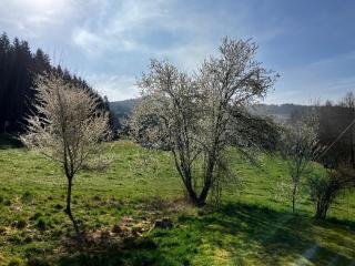 Ferienwohnung am Leinbach - 4