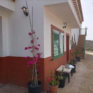 Chalet Barranco Hondo Agaete - Agaete - 6