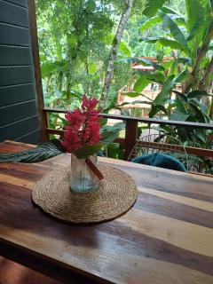 ANAVÁ casa en la selva - El Soberbio - 9