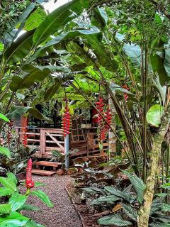 ANAVÁ Lodge de Selva y Piscina privada - 4