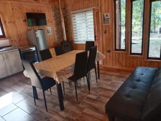 Sin fronteras, cabañas 2 - Temuco - 7