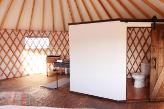 Johnny Yurts - The Pearl - Johnson City - 7