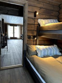 Moderne Røroshytte - Røros - 1