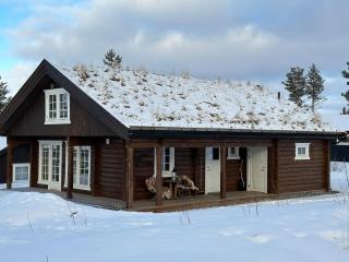 Moderne Røroshytte - Røros - 8