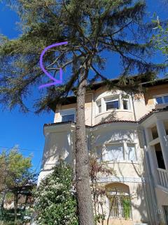 SEE MY SEA APARTMENT Luxury Heritage Home - Pula - 4