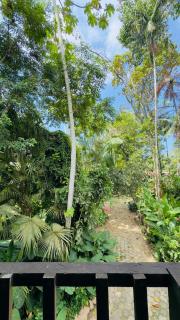Casa Natural Mystic - Ubatuba - 1