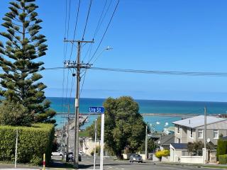 The Penguins Nest 1 - Oamaru - 0