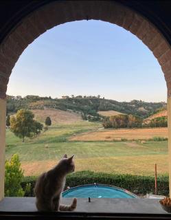 New apartment immersed in nature with pool - 7