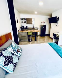 Baum Loft San Fernando 302 - 4