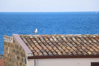 Donna Carmela - Porticello - 4