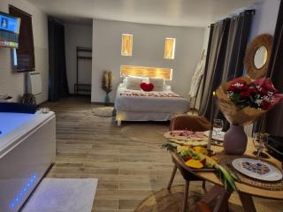 loft de luxe jacuzzi et jardin privatif 10 minutes de stade de france - Saint-Prix - 6