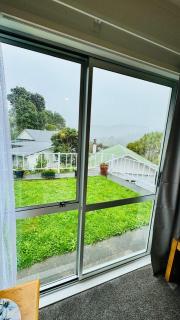 Hill View Studio Apartment - Wellington - 4