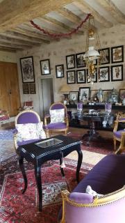 Domaine de la Crapaudine - Rosnay - 7