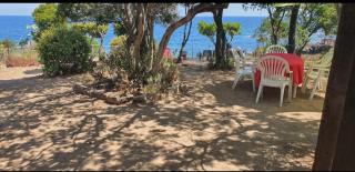 Villa pied dans l eau - Cala dʼOro - 0