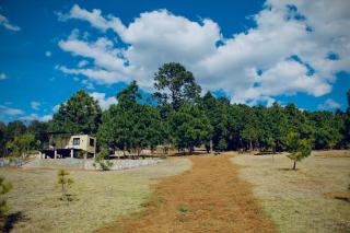 Winterwald Glamping - Ferrería de Tula - 6