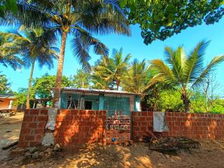 Shore Thing - Diveagar - 1