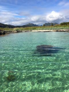 Kvitsand Lofoten adventure - Selnes - 5
