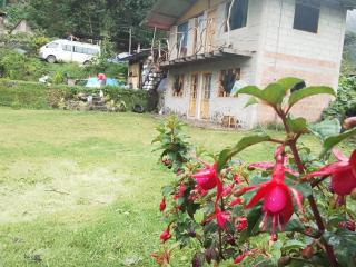 Rumi Wasi Hostel - 8