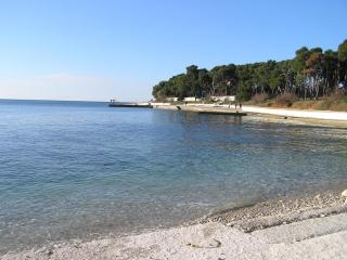 Little Fish Stoja - Pula - 2