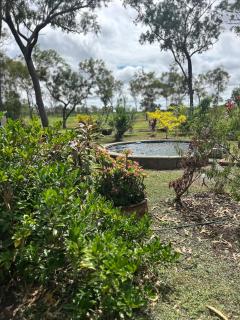Litchfield Tropical Stay - Batchelor - 7